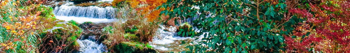 湯平温泉の花合野川の紅葉