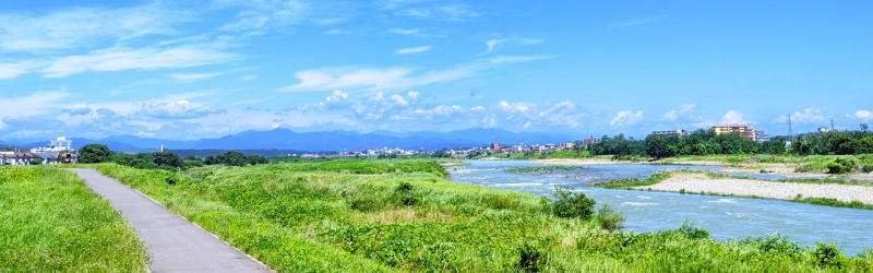 土手沿いの散歩みち