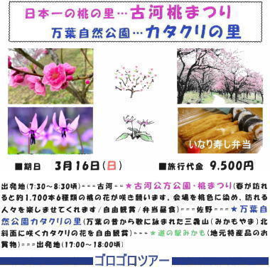 ゴロゴロツアーのチラシ