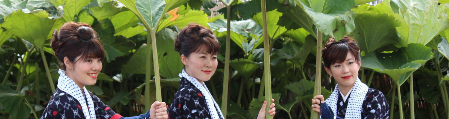 秋田蕗の三人娘