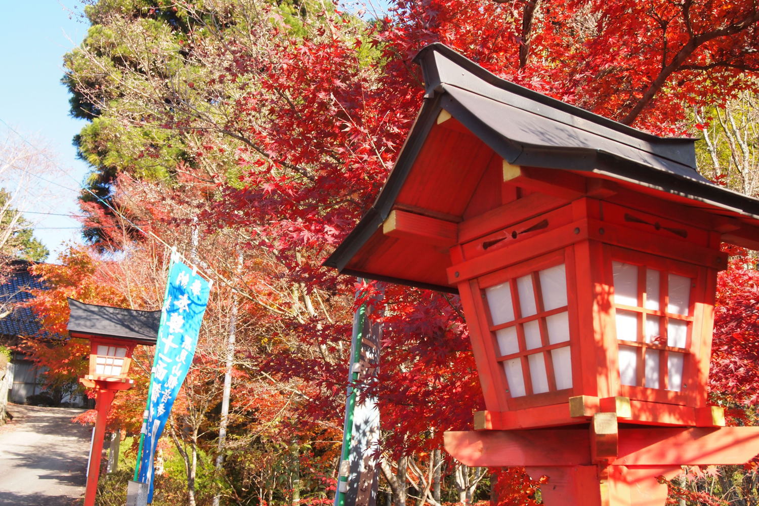 観音寺(もみじ寺)