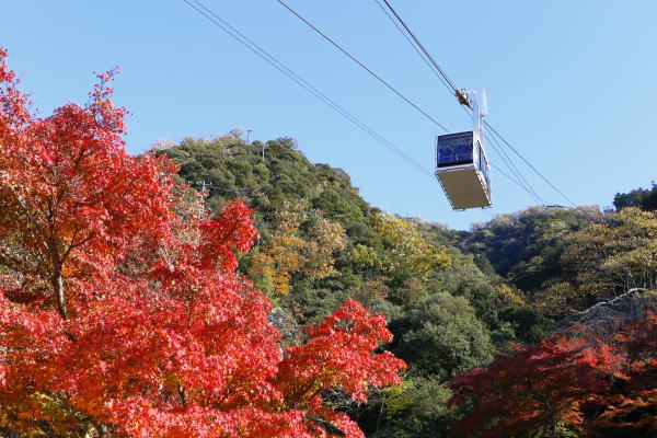 ぎふ金華山ロープウェー