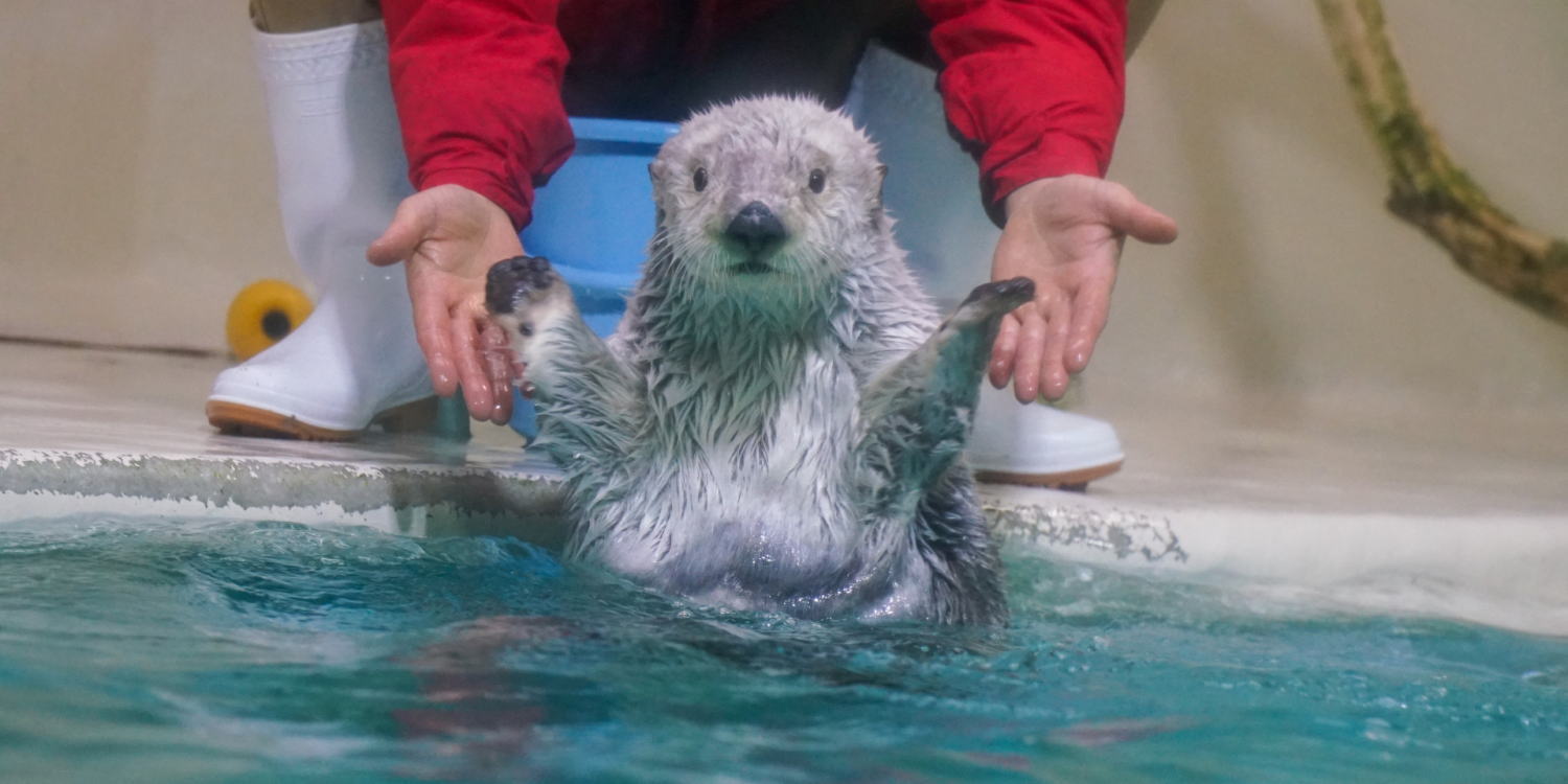 鳥羽水族館